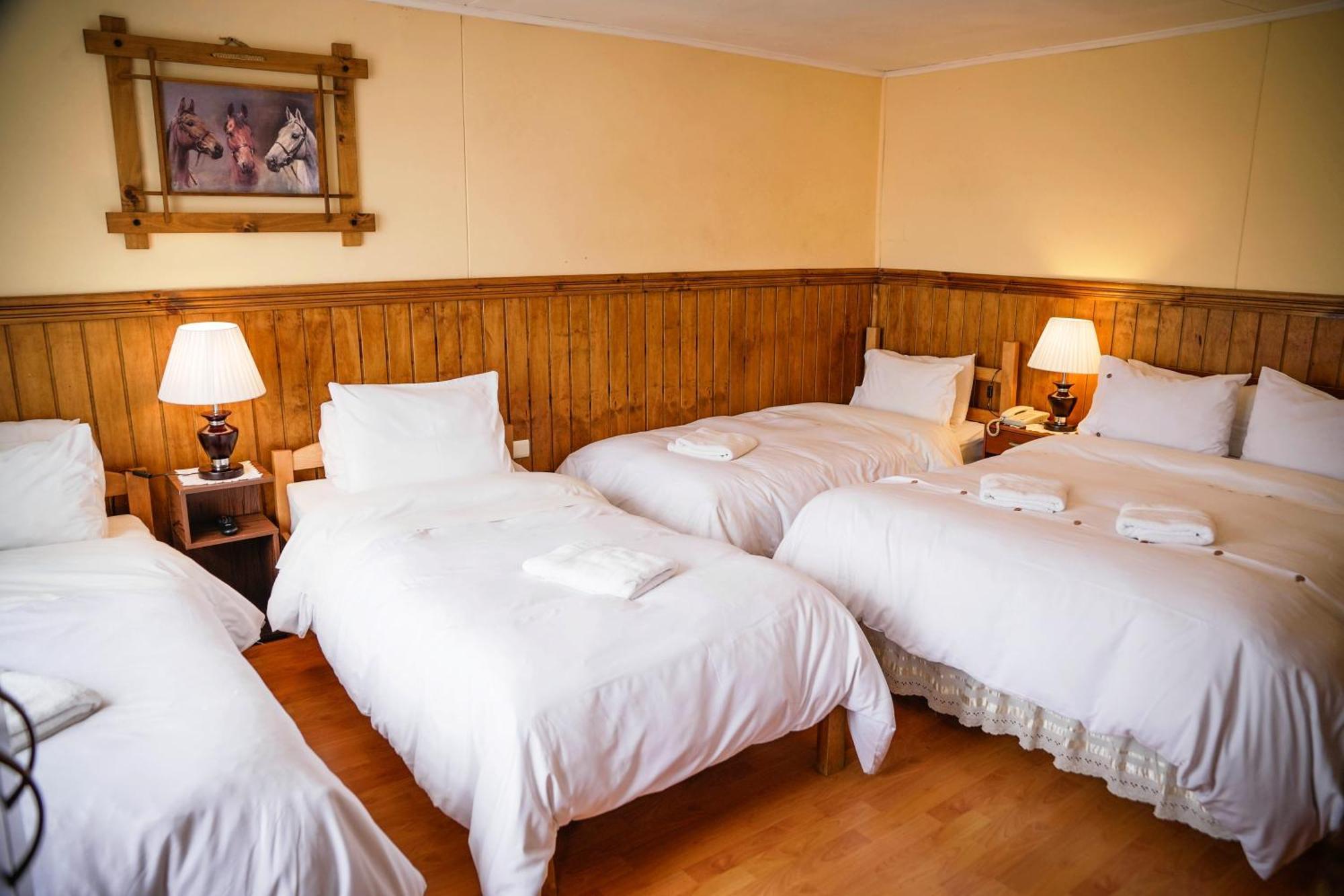Hostal Hielo Sur Punta Arenas Eksteriør billede